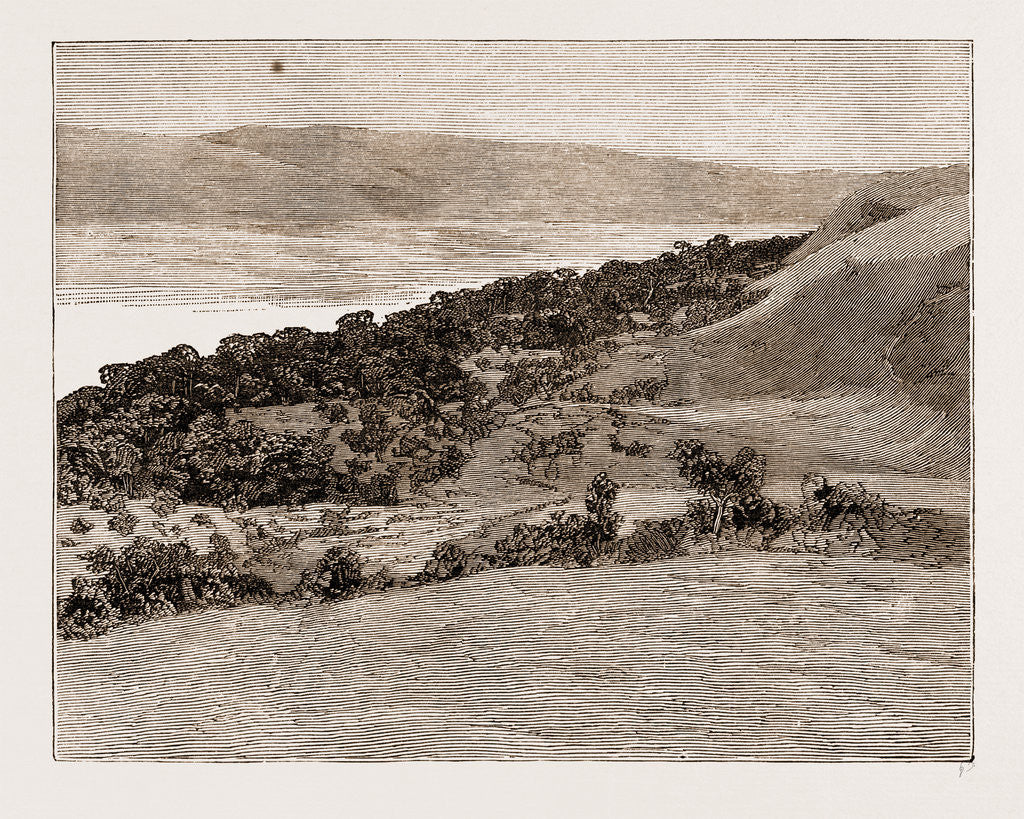 Detail of The River Congo At Manyanga, Africa, 1883 by Anonymous