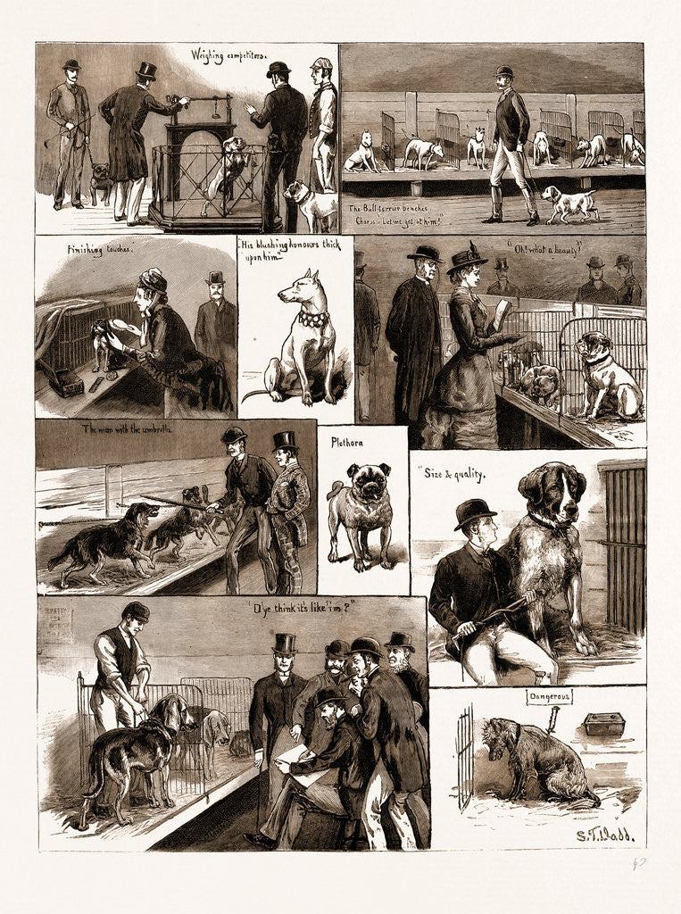 Detail of Notes At A Dog Show, 1883 by Anonymous