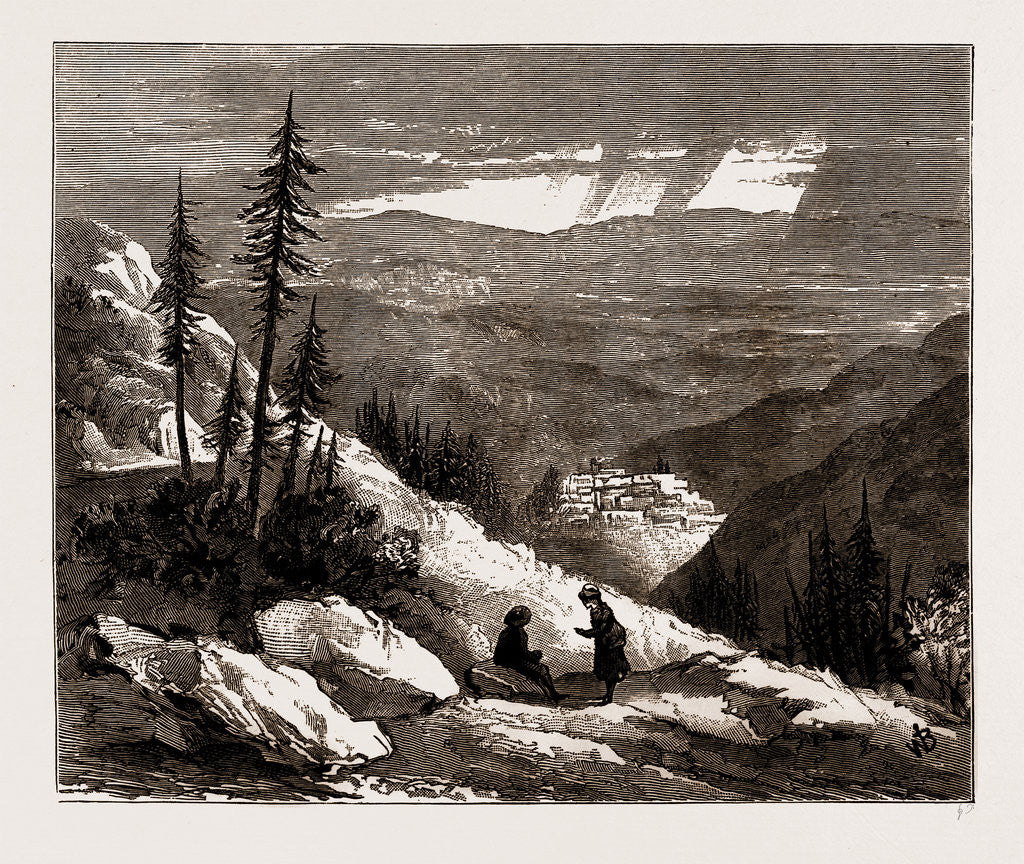 Detail of On The Mexican National Railway, 1886 by Anonymous