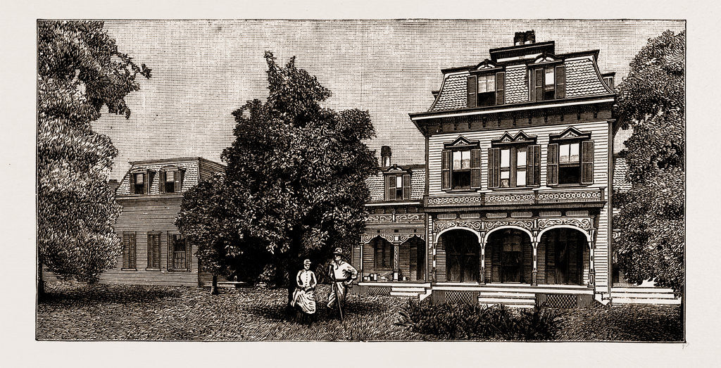Detail of Orange Culture In Florida, 1886 by Anonymous