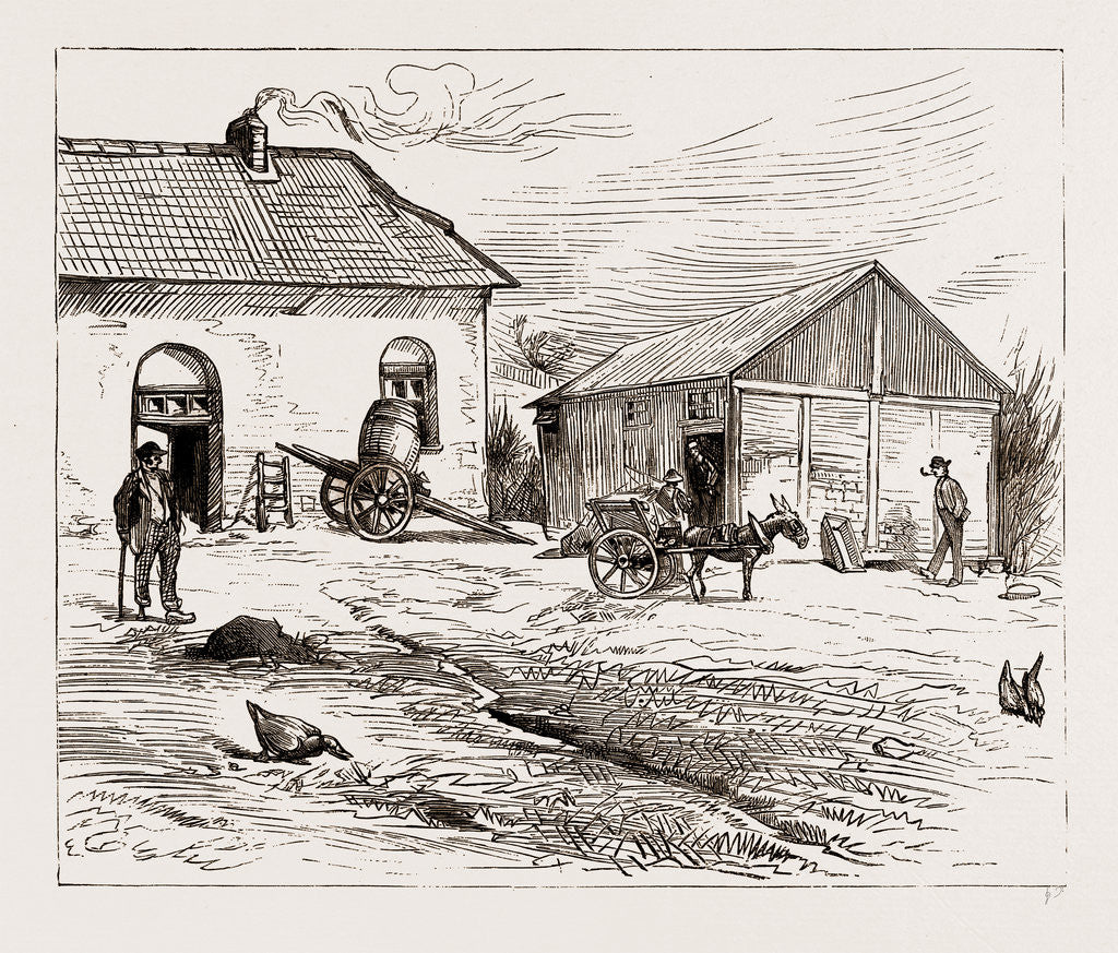 Detail of Police Hut To Protect Mike Flynn's Cottage, 1886 by Anonymous