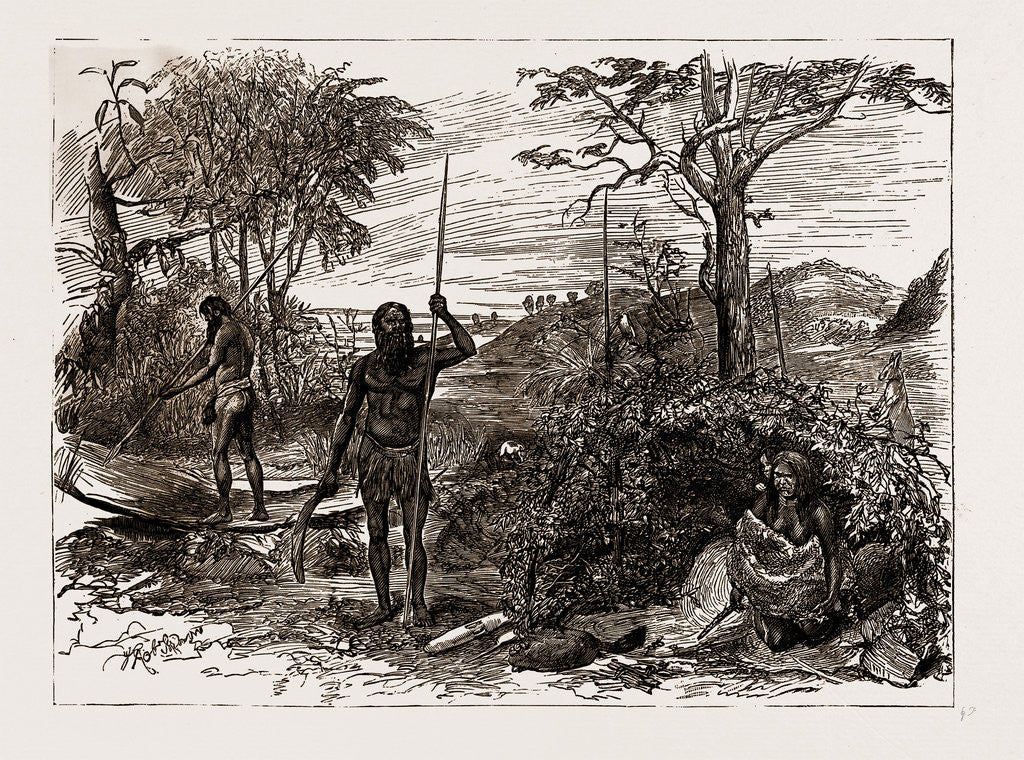 Detail of Australian And New Zealand Exhibits At The Colonial And Indian Exhibition, 1886 by Anonymous