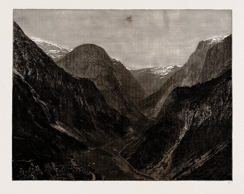 Detail of The Naerodal, Norway, 1886 by Anonymous