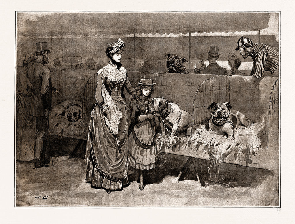 Detail of Among The Bull Dogs At The Kennel Club Show, UK, 1886 by Anonymous
