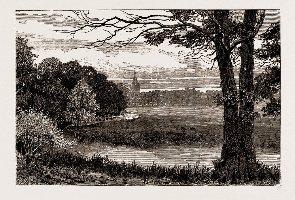 Detail of Aldford Brook, UK, 1886 by Anonymous