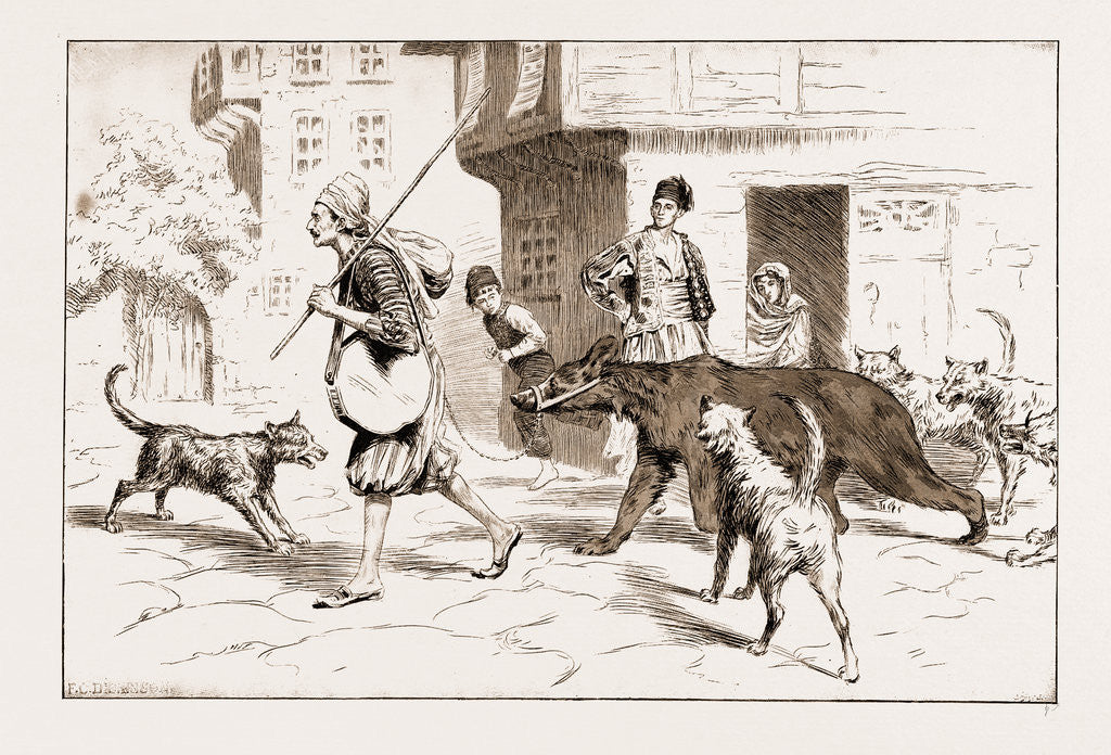 Detail of Street Dogs Barking At A Dancing Bear And His Keeper In Constantinople, Istanbul, Turkey, 1897 by Anonymous