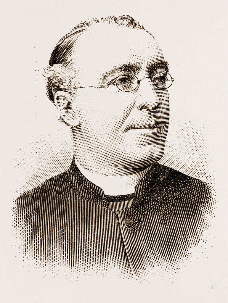 Detail of The Late Dr. Carroll by Anonymous