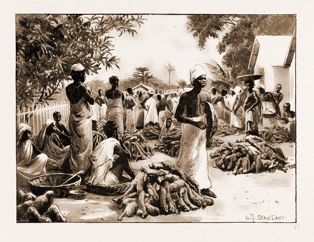 Detail of The Royal Niger Company's Expedition: Everyday Scenes On The River Niger, 1897 by Anonymous