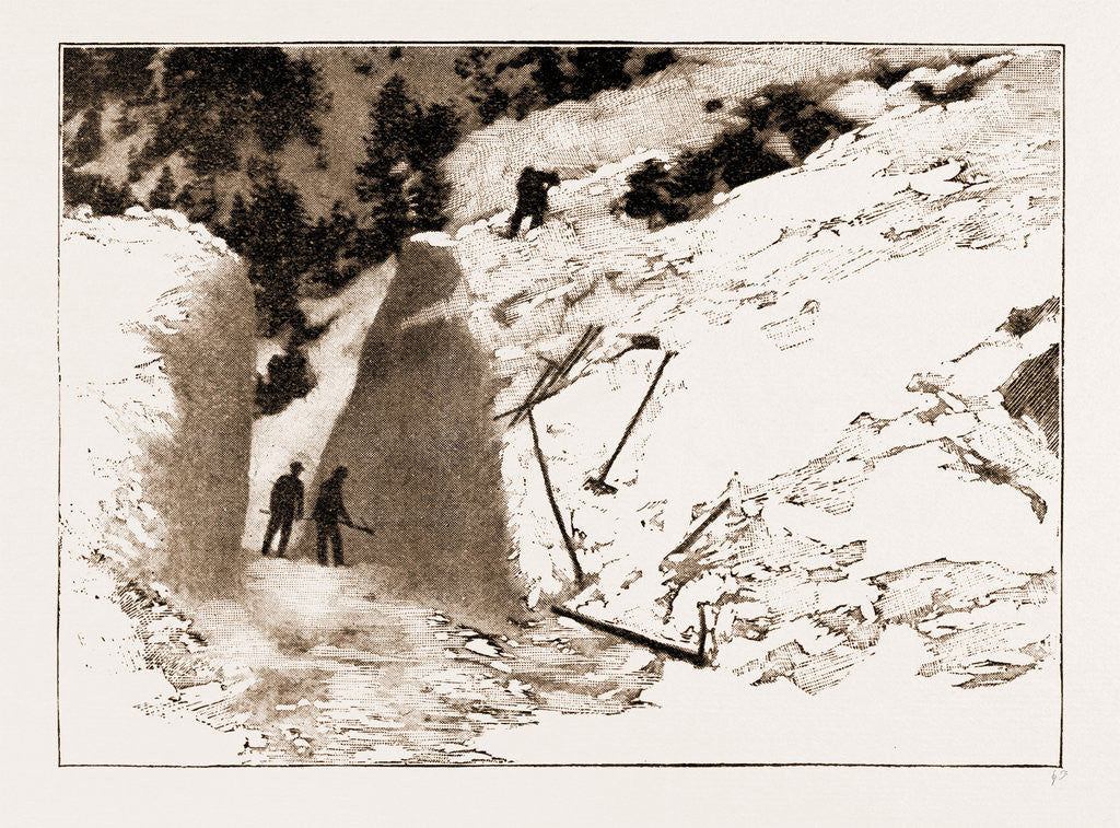 Detail of The Fatal Avalanche Near Davos, 1897 by Anonymous