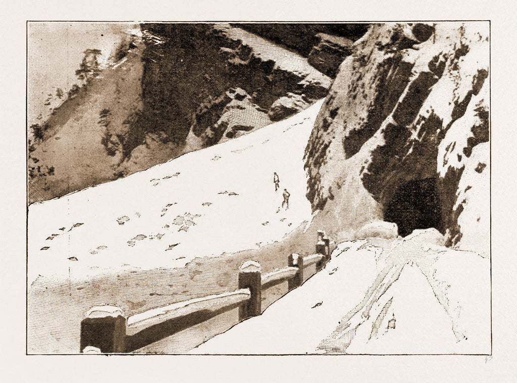 Detail of The Fatal Avalanche Near Davos, 1897 by Anonymous