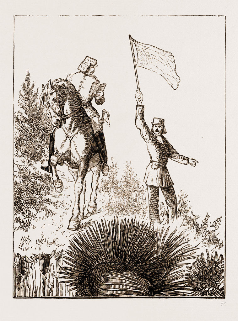 Detail of Signalling Question And Answer, Military Manoeuvres In Bermuda 1873 by Anonymous