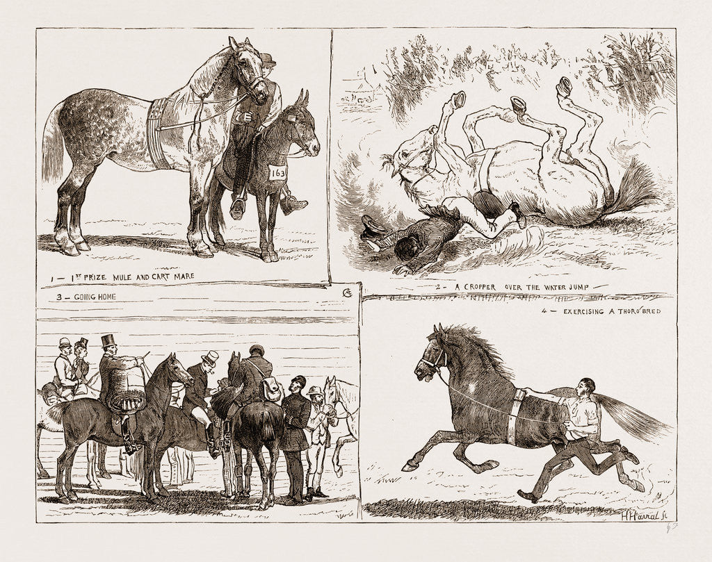 Detail of Tiie Horse Show At The Alexandra Park London UK 1873 by Anonymous