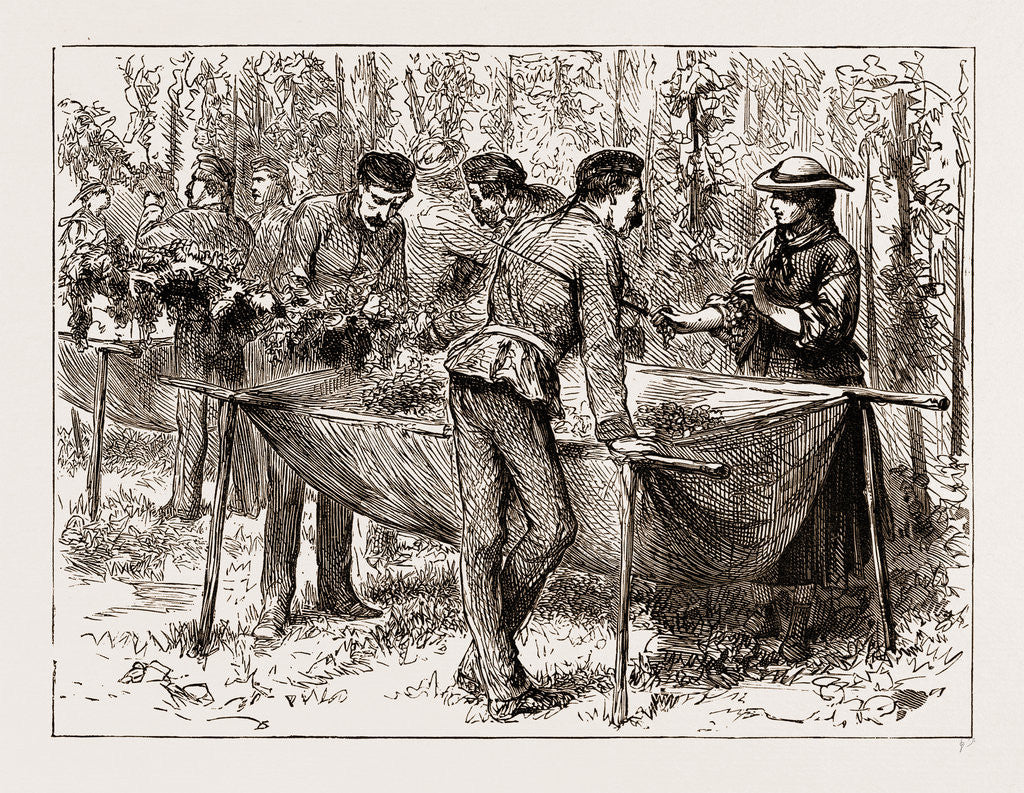 Detail of Hop-picking At Aldershot—a Military Flirtation, UK by Anonymous