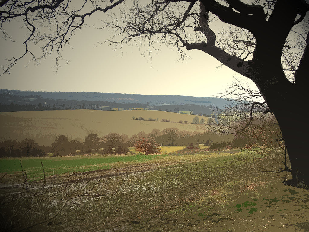 Detail of Rural Scene to the North of Sheffield by Sarah Smith
