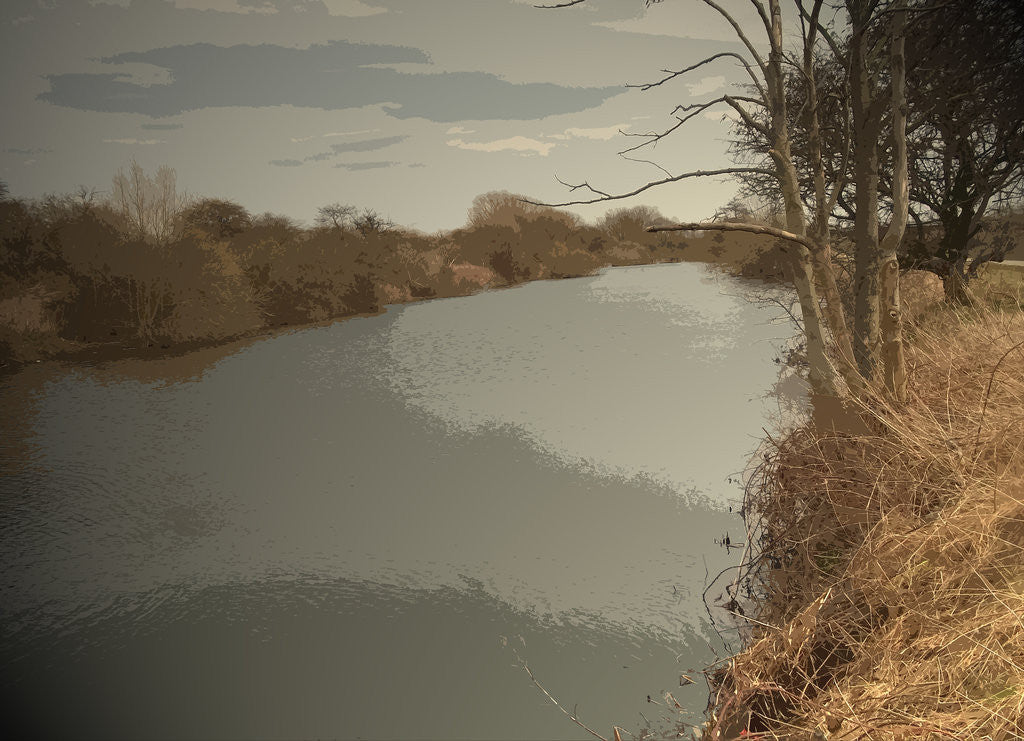 Detail of The River Derwent near Alvaston by Sarah Smith
