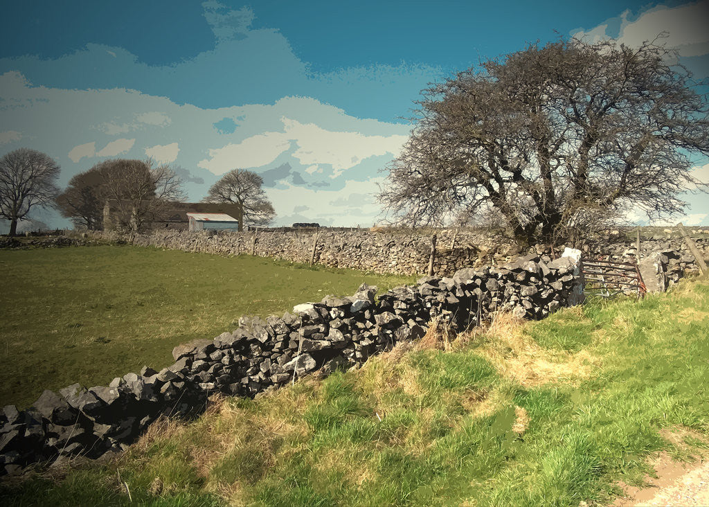 Detail of Whitelow Farm seen from Tophill Lane by Sarah Smith