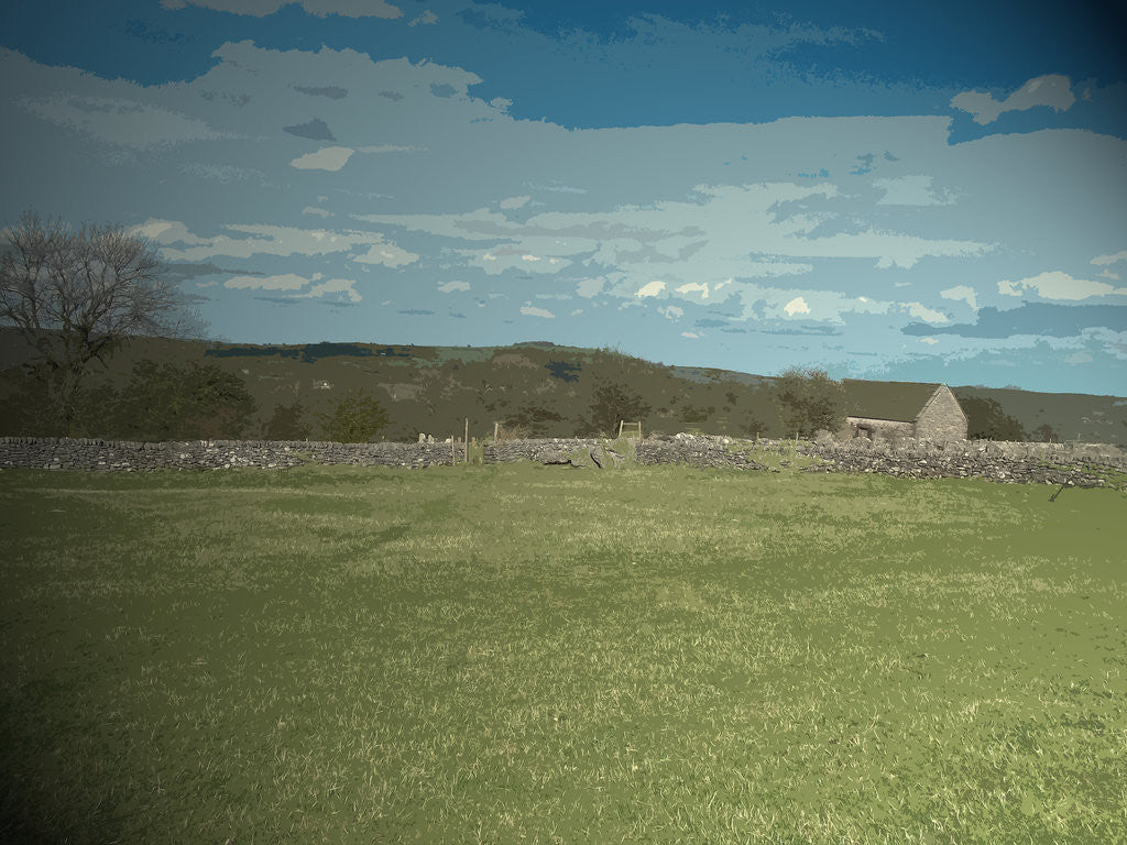 Detail of Footpath near Bottom Leys Farm by Sarah Smith