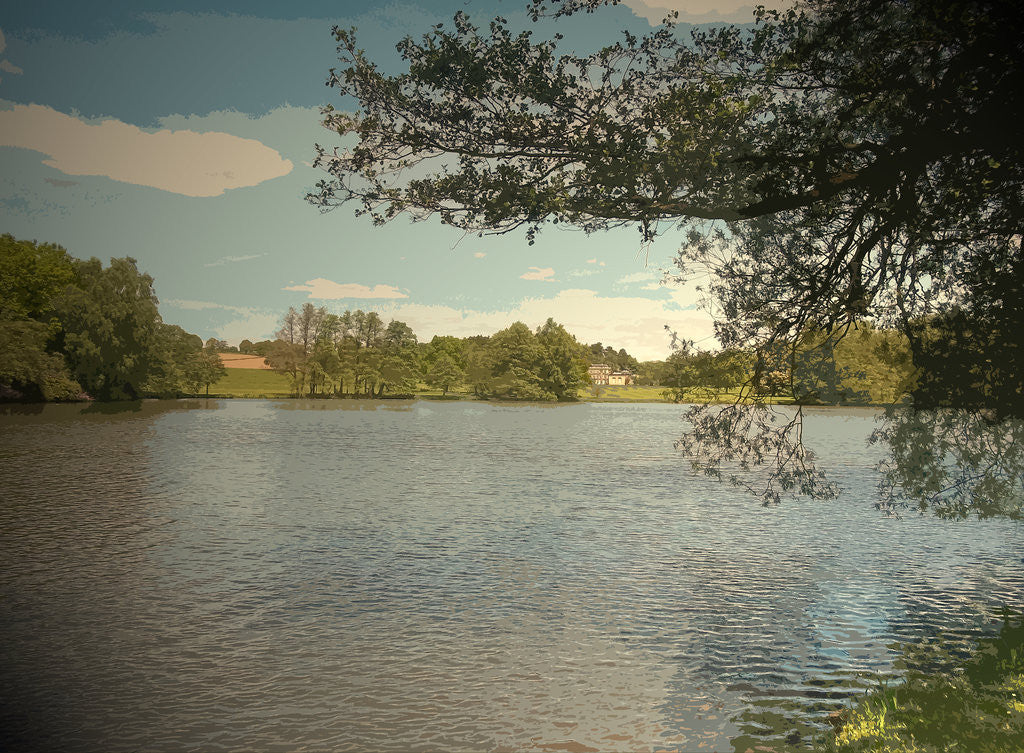 Detail of The Lake in Locko Park by Sarah Smith