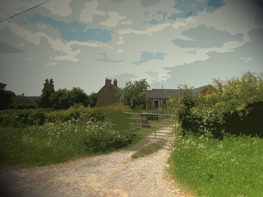 Detail of Hillside Farm by Sarah Smith