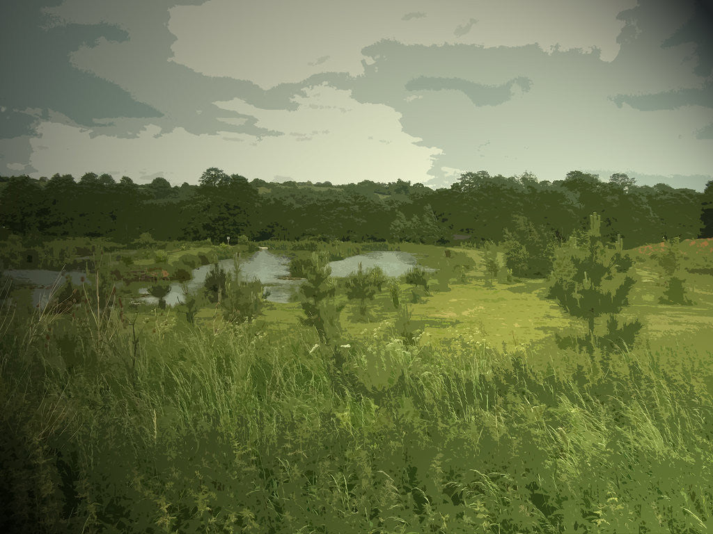 Detail of Fishing Lakes near Ednaston by Sarah Smith