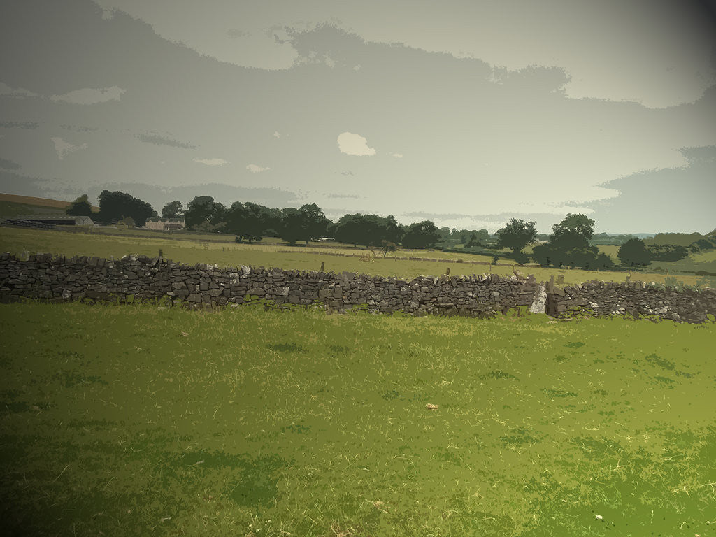 Detail of The Limestone Way near Thorpe by Sarah Smith