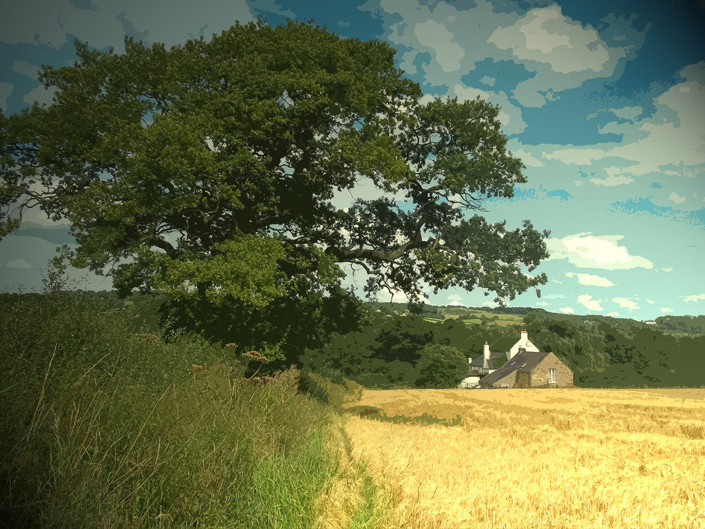 Detail of Rural Boozer in Windley by Sarah Smith