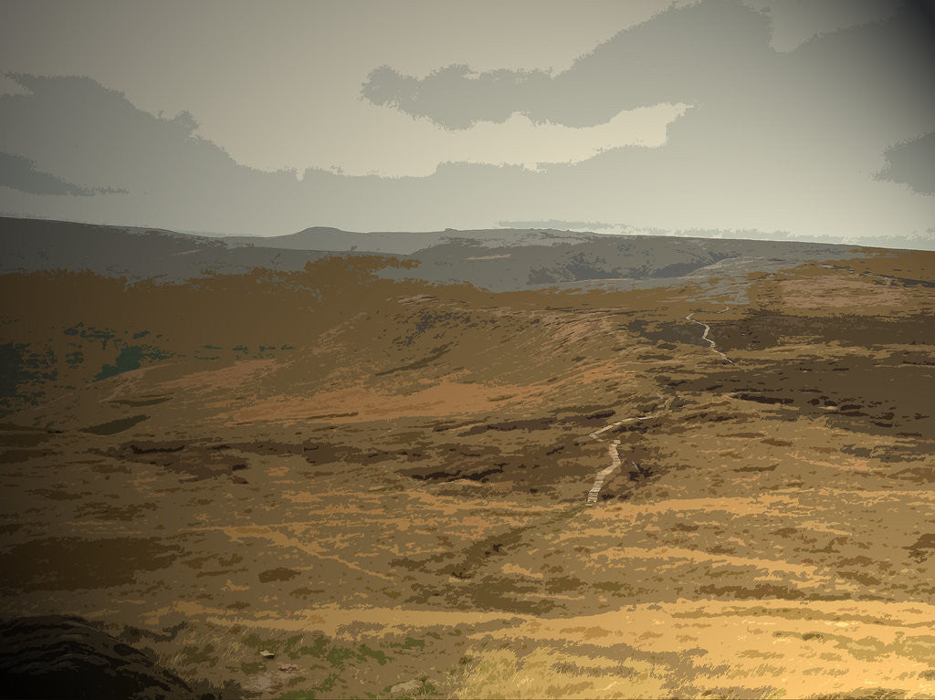 Detail of Paved Upland Path on Edale Moor by Sarah Smith