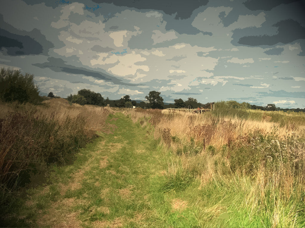 Detail of Path near Leasaws Farm by Sarah Smith
