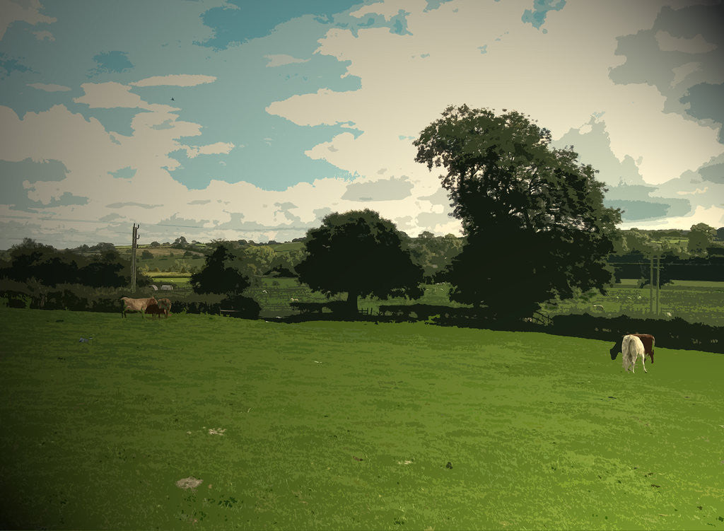 Detail of Farmland near Ashbourne by Sarah Smith