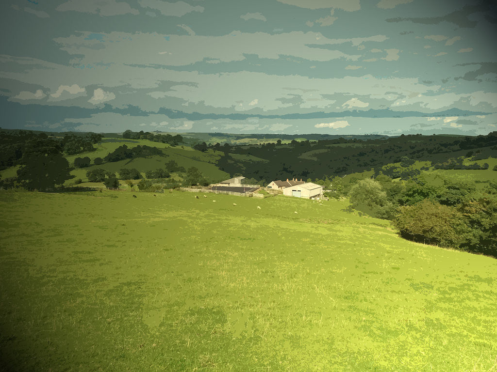 Detail of Ravenscliffe by Sarah Smith