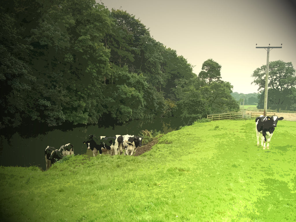 Detail of Livestock by the River Dove by Sarah Smith