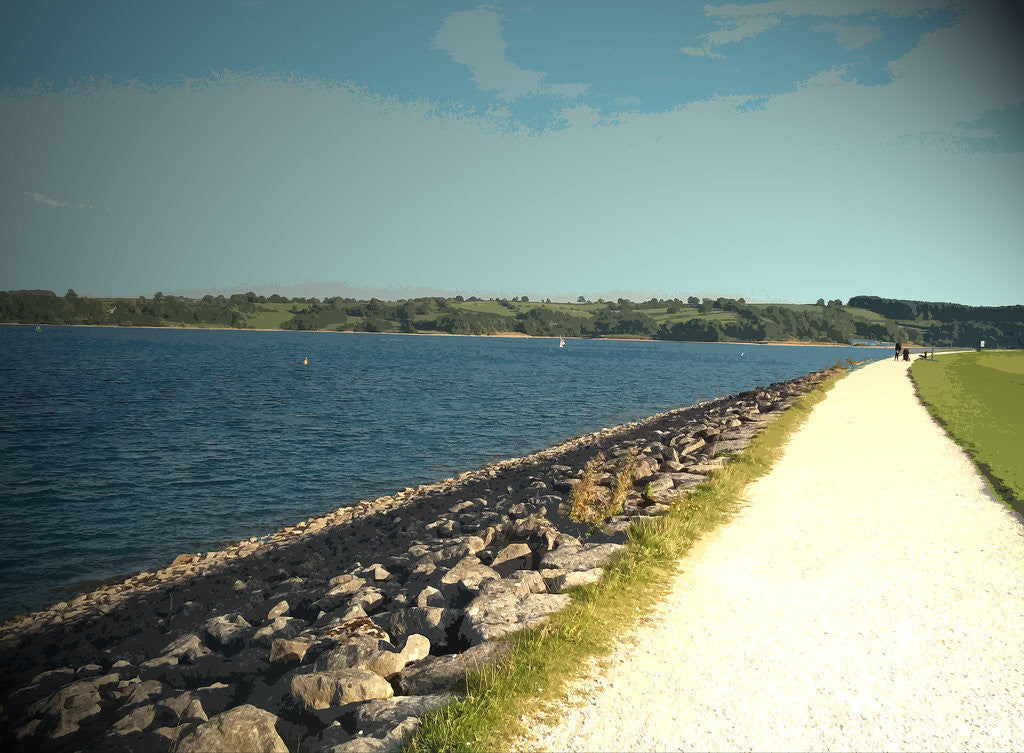 Detail of Water's Edge and Path at Carsington by Sarah Smith