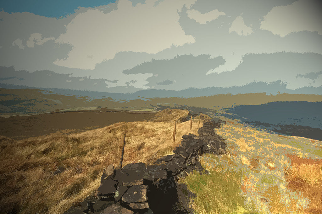 Detail of Ridge between Cats Tor and Pym Chair by Sarah Smith