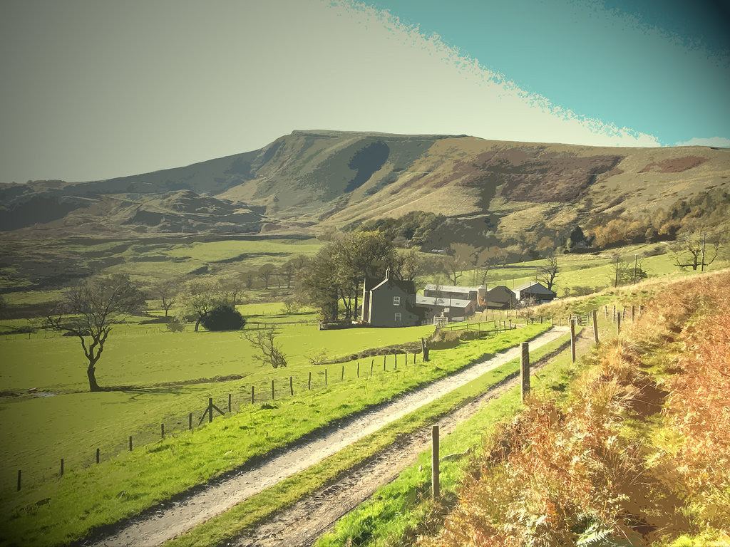 Detail of Footpath and Track at Woodseats by Sarah Smith