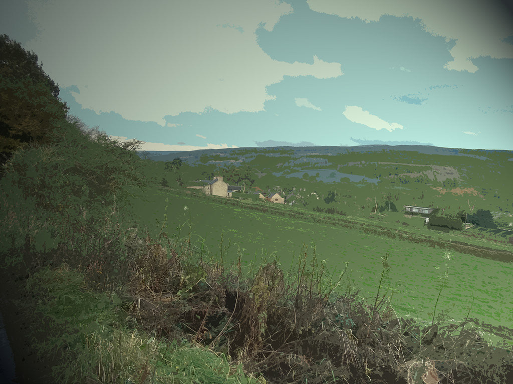 Detail of Overlooking Fernilee by Sarah Smith