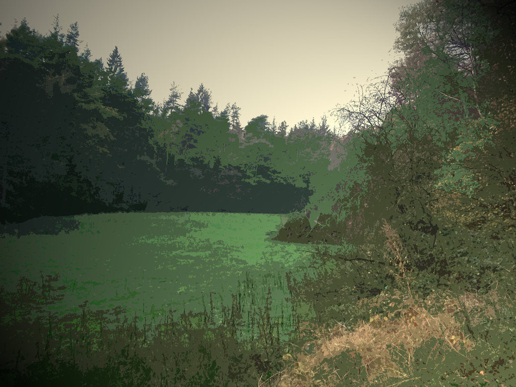 Detail of Riverside Clearing in Shallcross Wood by Sarah Smith