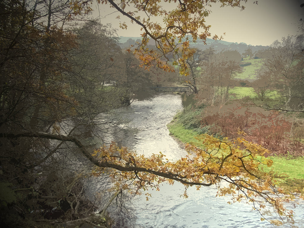 Detail of The River Etherow by Sarah Smith