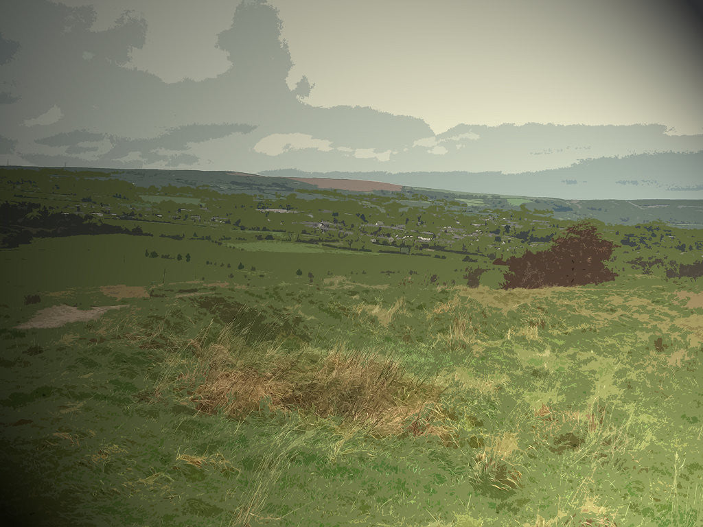 Detail of Earthwork at Melandra Castle by Sarah Smith