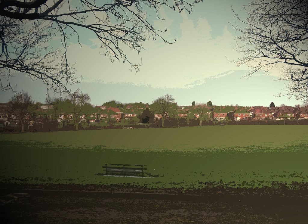 Detail of Sports Fields near Burton Road by Sarah Smith