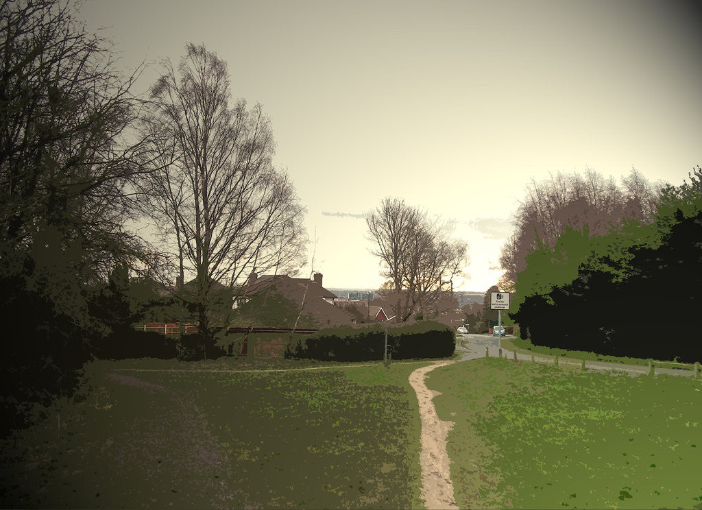 Detail of Fringes of Allestree Park and Nature by Sarah Smith