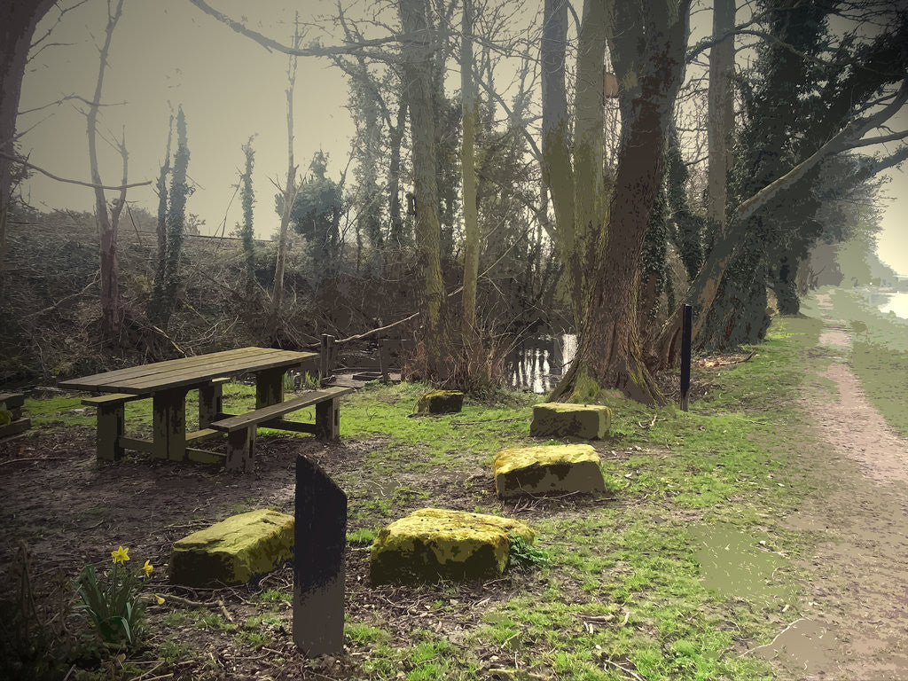 Detail of Rest Point at Ballast Hole Pond by Sarah Smith