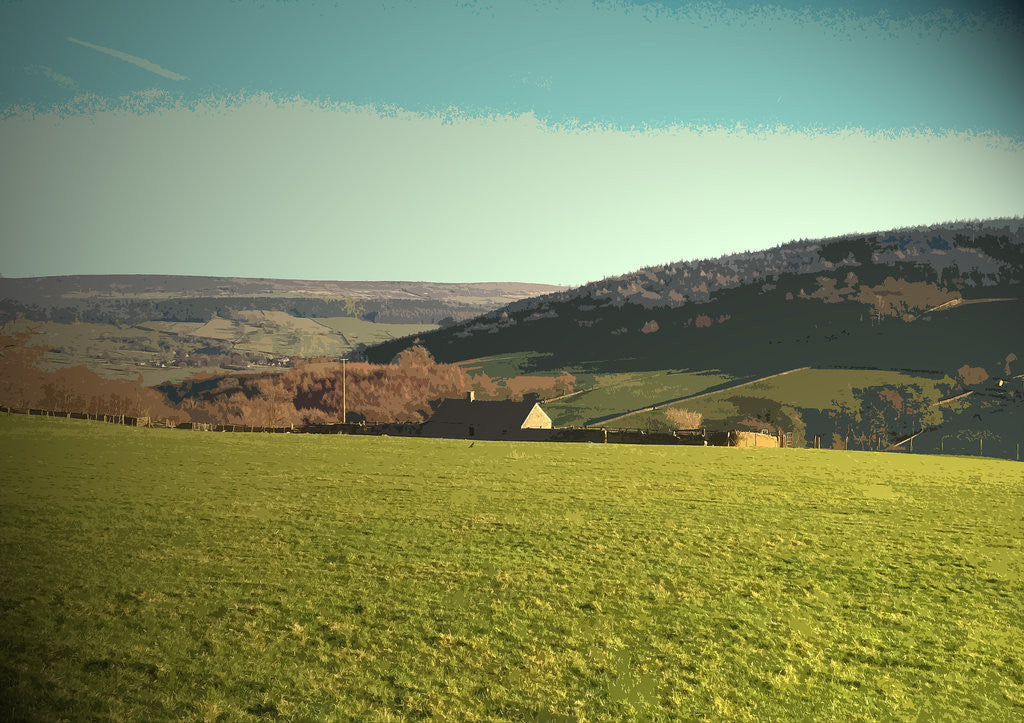 Detail of Grassland near Calton Houses by Sarah Smith