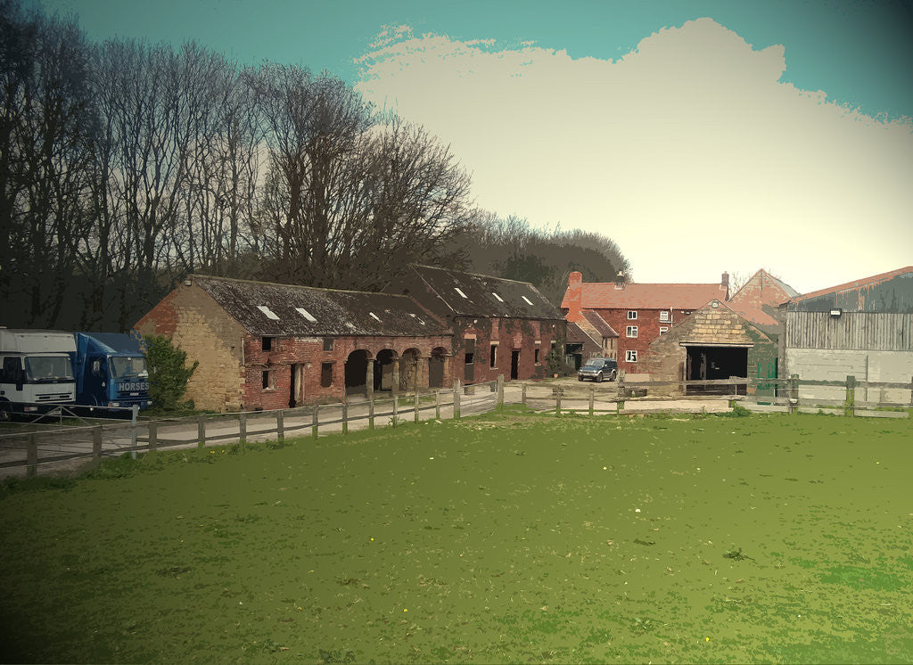 Detail of Nitticarhill by Sarah Smith