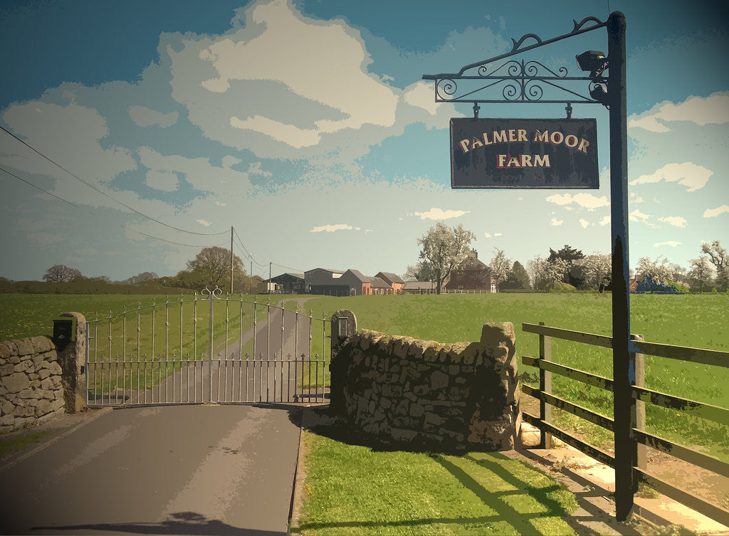 Detail of Palmer Moor Farm by Sarah Smith