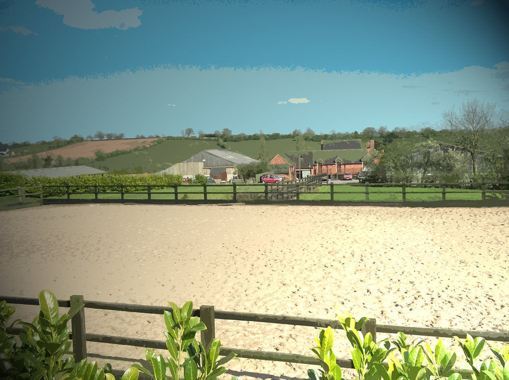 Detail of The Beeches by Sarah Smith