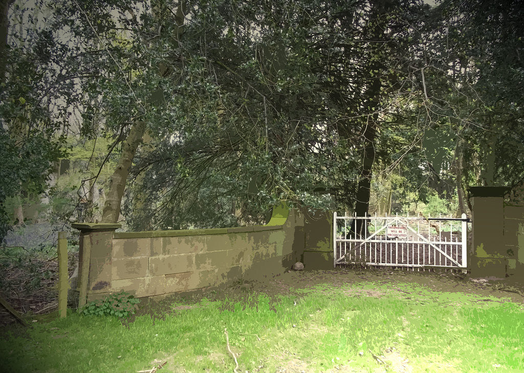 Detail of Entrance Gates to Ruined Hall by Sarah Smith