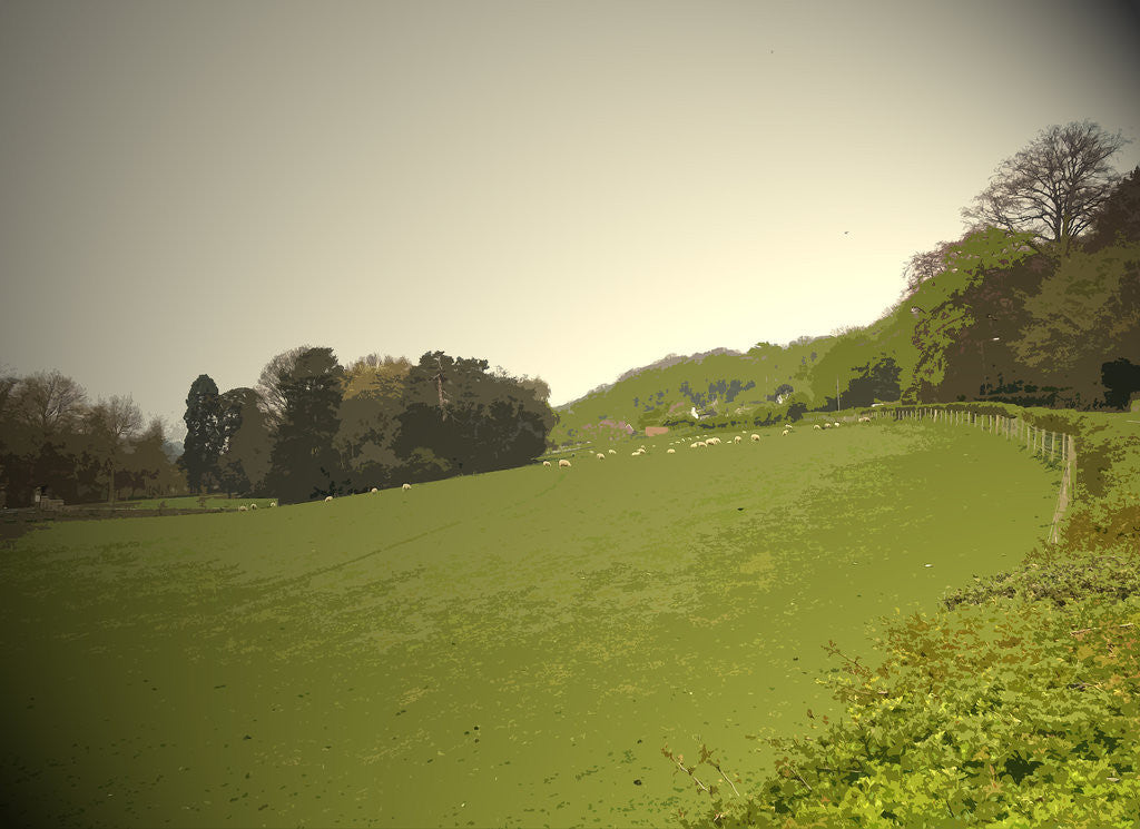 Detail of Grazing Land at Duffieldbank by Sarah Smith