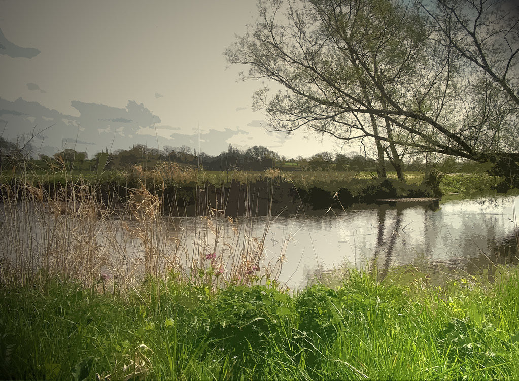 Detail of Longford Brook by Sarah Smith