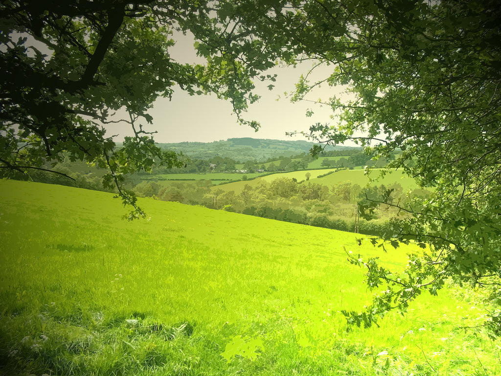 Detail of Stretton Hillside by Sarah Smith