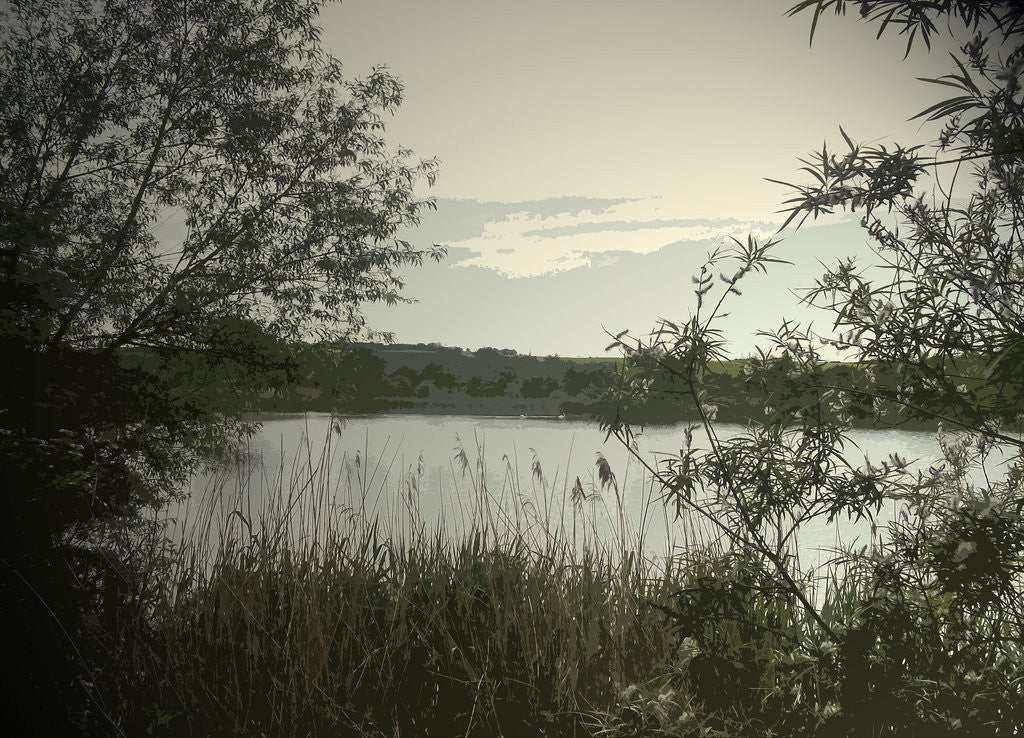 Detail of Main Pond at Carr Vale Flash Nature by Sarah Smith